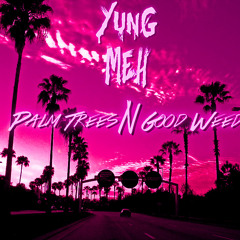 Palm Trees N Good Weed