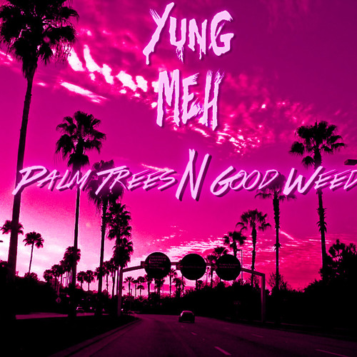 Palm Trees N Good Weed