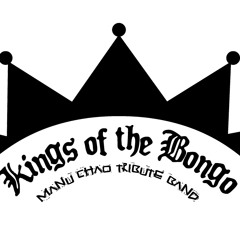 KINGS OF THE BONGO - Me gustas tu version(studio mix 2007)