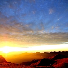 Raw Meat Inc. - Sunrise