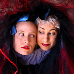 Making a wrong turn on the way to Wonderland