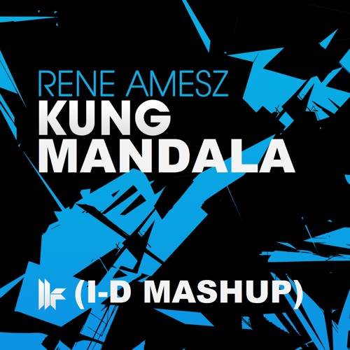 rene amesz kung