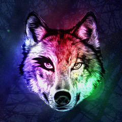 Chu @ Noches de Lobohombo @ ibero90.9