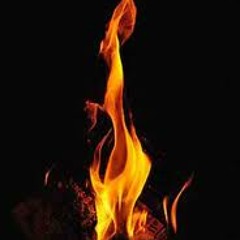 Plena pal Kritty-Kong