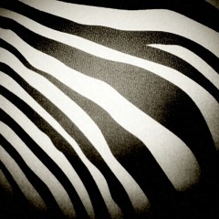 Pixelated Zebras Demo