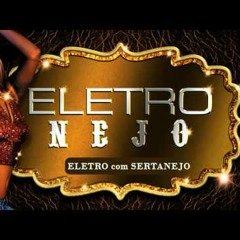 Eletronejo-2013 (DJ Nino Remix)