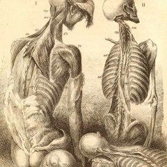 The Water Sign (3 Wives, Saltwife Original)