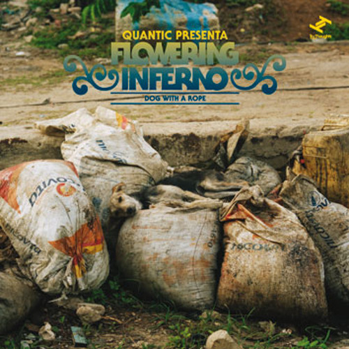 Quantic presenta Flowering Inferno - Te Pico el Yaibi (Makunpi Edit)