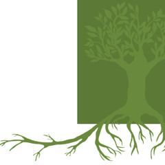 Good medicine: A soundscape featuring interviews with Kindred Southern Healing Justice Collective