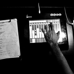 Sunflowers snuggle their heads on my lap (and gaze up at the sky)