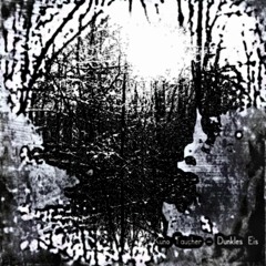 Kuno Taucher - Dunkles Eis