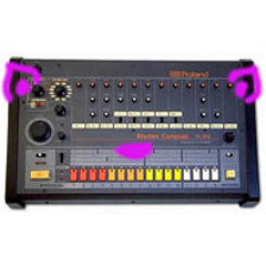 808 Cat - Hellaa Kitty