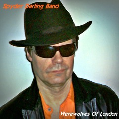 Werewolves of London - Spyder Darling Band