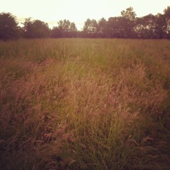 playground tactics - slow (in session)