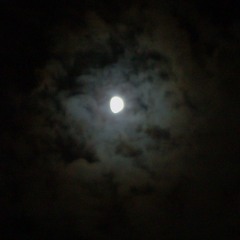 Moonlit Canal - Ambient Mix