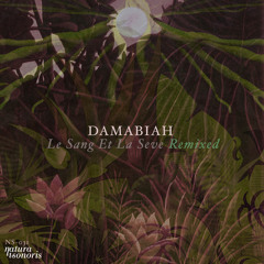 Damabiah  A la Cime des Arbres (David Granha & John Axiom Band Mix) Prewiew Low Quality