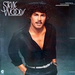 Take Me To Your Heaven - Stevie Woods