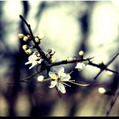 Dream on, little dreamer.