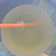 Chilloutvanillelimonade