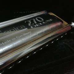 蒲公英的约定♬（口琴版）