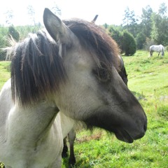 Ragged Trousered Philanthropists - Tumbo