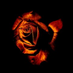 Komm und laß uns alles vergessen! (Original Mix)