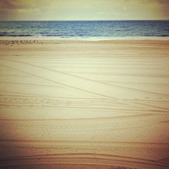 Halcyon