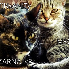 CaTiNsANiTy - Megloid x Czarnaloid (my cats)