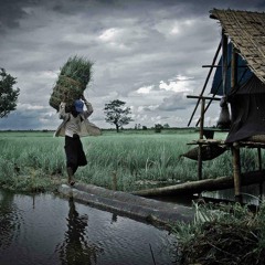 01 တကယ္ခ်စ္တာလား - A ႏြန္ @ MAMC