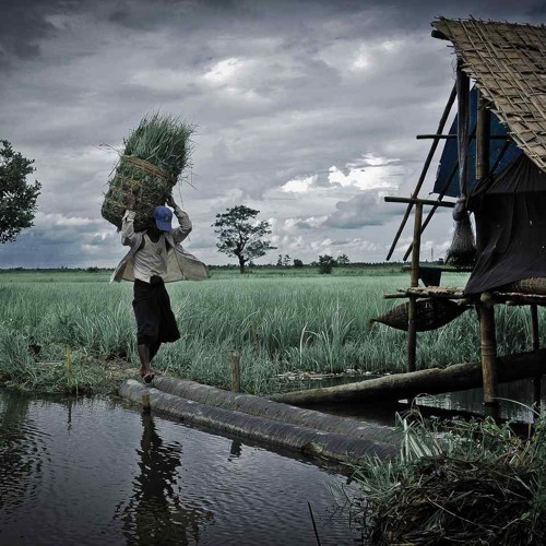 01 တကယ္ခ်စ္တာလား - A ႏြန္ @ MAMC