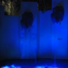 Freestyle Feelin Myself mAC Dre Vibe at Who caress! i was unhappy