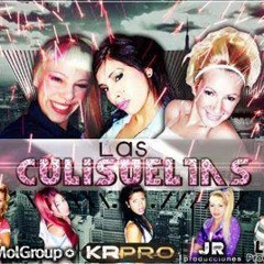 LAS CULISUELTAS - EL POLLITO PIO - TEMA NUEVO 2012 2013