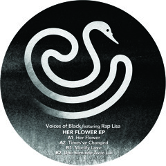 Voices Of Black - Dry Ur Eyez feat. Greg Paulus