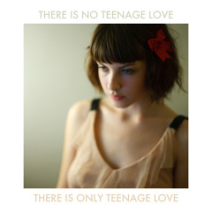 There Is No Teenage Love - There Is Only Teenage Love