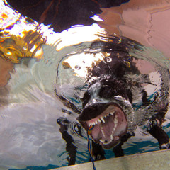 High Mids and Low Highs (feat. Odanga)