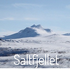 Saltfjellet