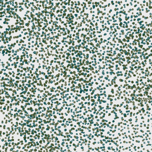 Damp Paving