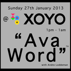 Gavin Peters Live @ Avaword opening party Jan 2013