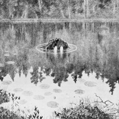 Nokken Draugen (Laguz)