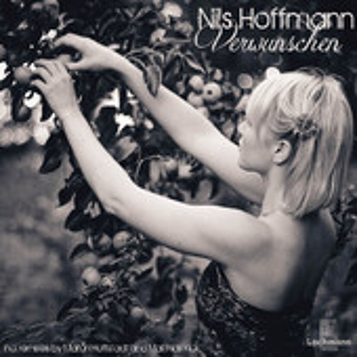 Nils Hoffmann - Nighttrain to Copenhagen (Original Mix)
