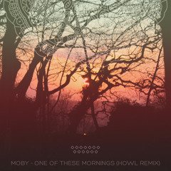 Moby - One Of These Mornings (Howl Remix)