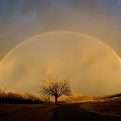 Somewhere over the rainbow by Sam Darris (ipad madness!!)