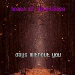 Days without you