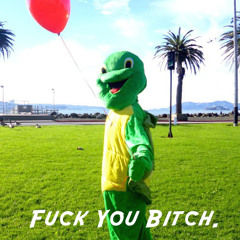 Turtle Bombers - F*ck You Bitch ( Original Mix )