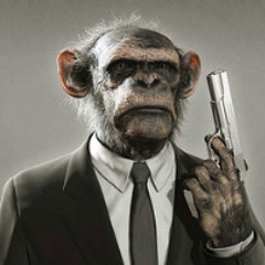 Mr.Cioffabeat - Monkeys in a Babylon