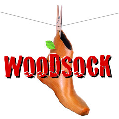 Woodsock - We've Gotta Get Out Of This Place
