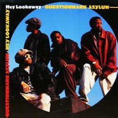 Questionmark Asylum/Hey Lookaway (LP Version)