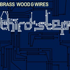 Third Step Album Snippets