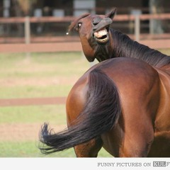 MC Arcok - Someone on my beach