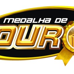 Forrozão Medalha De Ouro - Amar Seus Defeitos